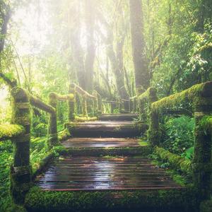 高桥美由纪人妻中文在线
